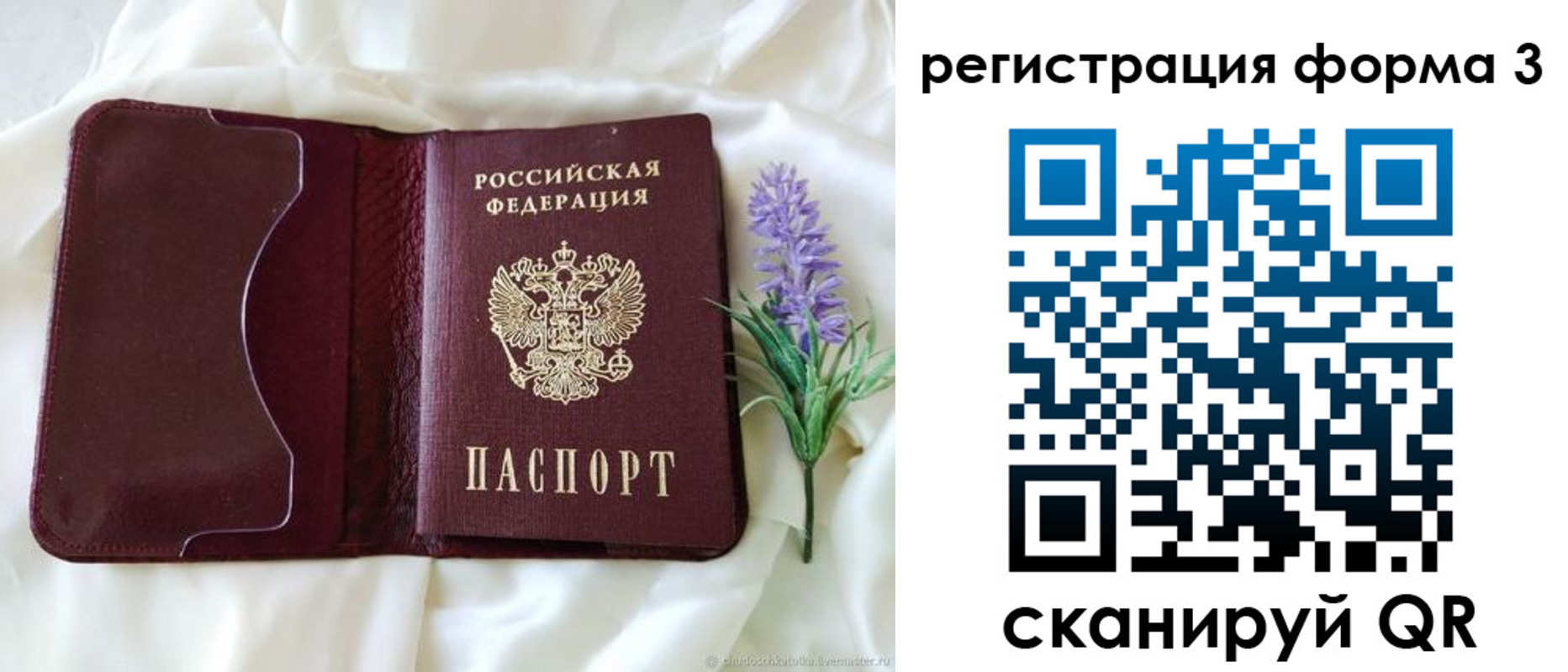 прописка 2025 в Вязьме