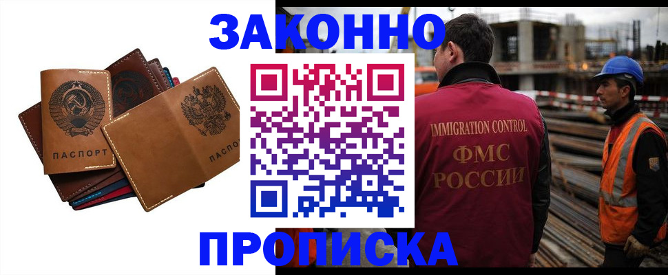 прописка в Вязьме